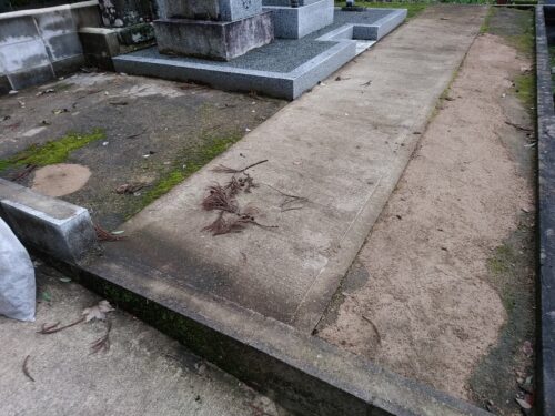 ガンコマサ コケ発生例